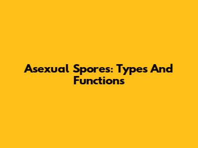 Asexual Spores: Types And Functions