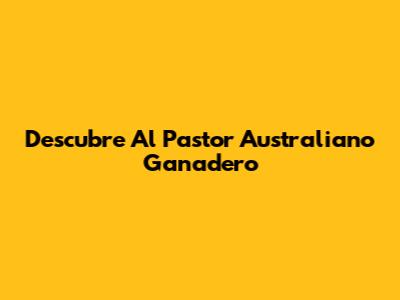 Descubre Al Pastor Australiano Ganadero