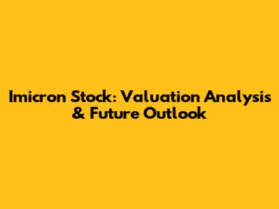 Imicron Stock: Valuation Analysis & Future Outlook