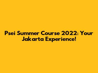 Psei Summer Course 2022: Your Jakarta Experience!