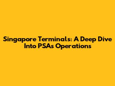 Singapore Terminals: A Deep Dive Into PSA's Operations